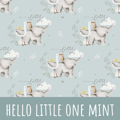 Hello little one mint Bio Sommersweat