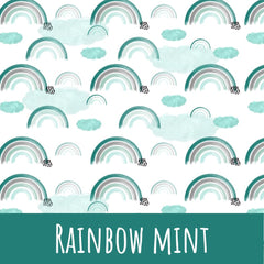 Rainbow mint Bio Jersey 90cm Stoffrest 18,1€/m