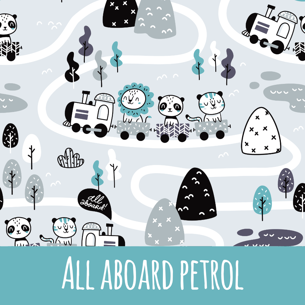 All aboard petrol Bio Jersey - Mamikes