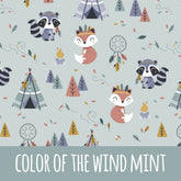 Color of the wind mint Bio Sommersweat - Mamikes