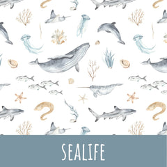 Sealife Softshell - Mamikes