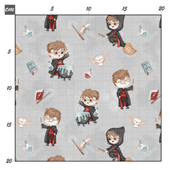 Zauberer li grau Bio Jersey - Mamikes