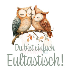 Bügelbild du bist einfach Eultastisch! - BS027