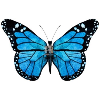 Bügelbild Schmetterling 4 - BB220 - Mamikes