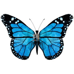 Bügelbild Schmetterling 4 - BB220 - Mamikes