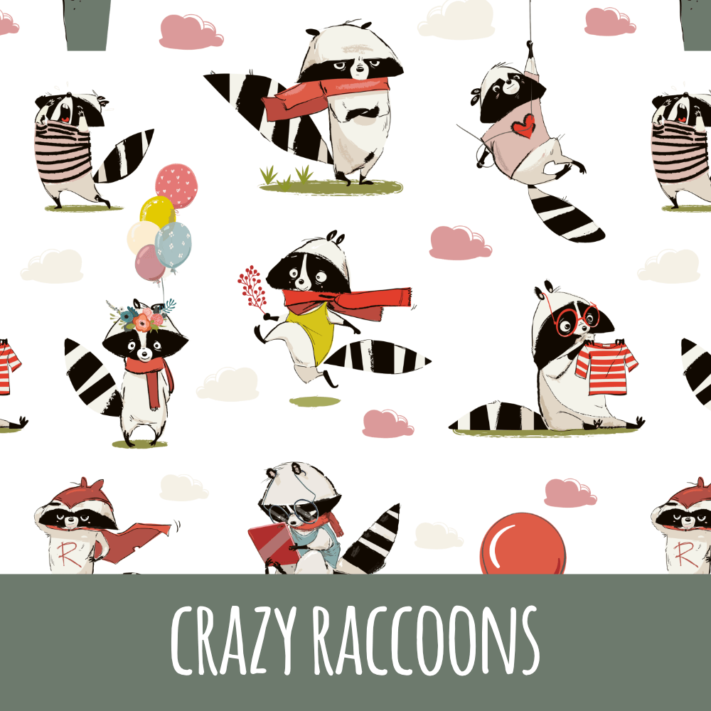 Crazy raccoons Bio Jersey - Mamikes