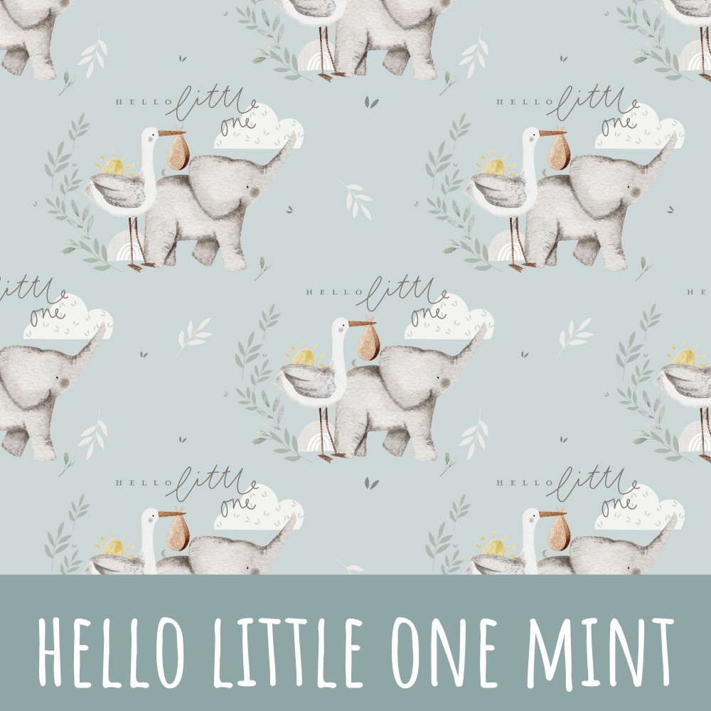 Hello little one mint Bio Jersey - Mamikes