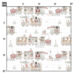 Polar expreß Baumwolle - Mamikes