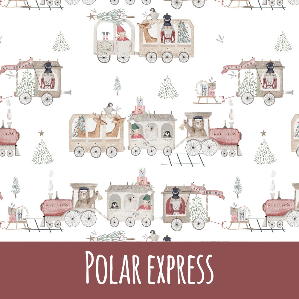 Polar expreß Vorbestellung (Stoffart wählbar) - Mamikes