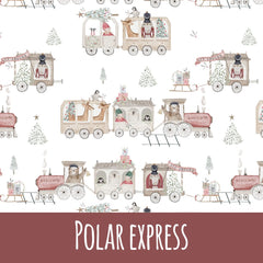 Polar expreß Vorbestellung (Stoffart wählbar) - Mamikes