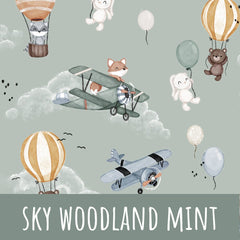 Sky woodland mint Bio Sommersweat - Mamikes